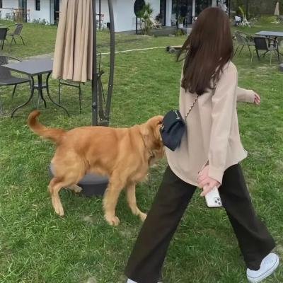 超级索尼克第二季