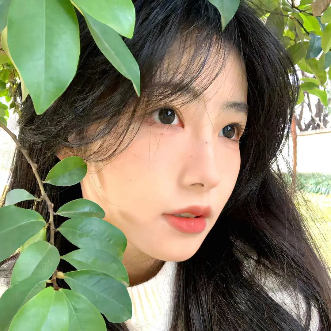 夏绿蒂的网
